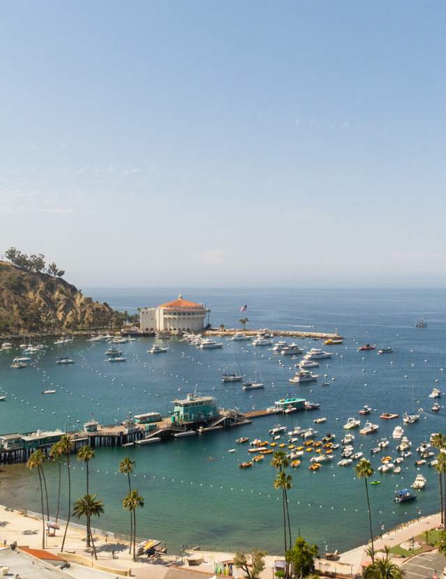 Catalina Island Harbor View