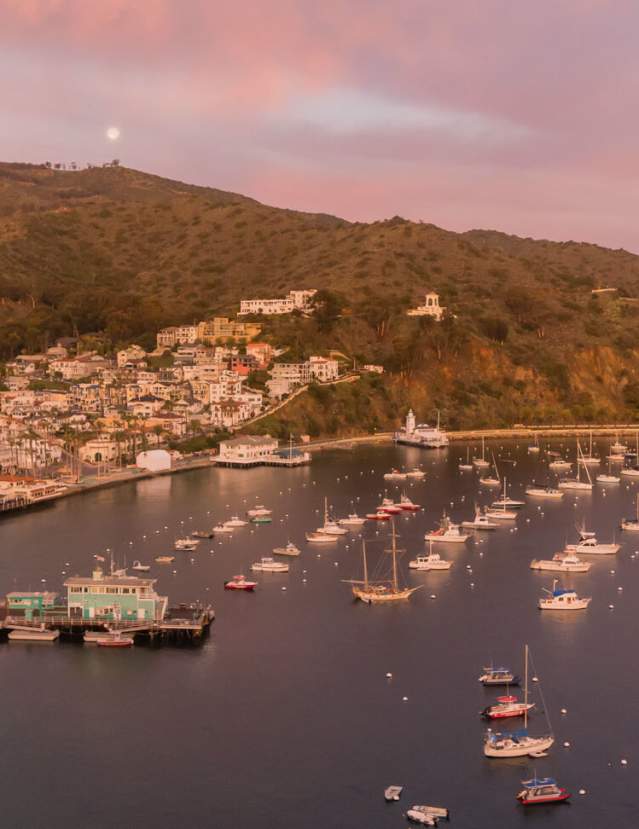 Avalon Bay
