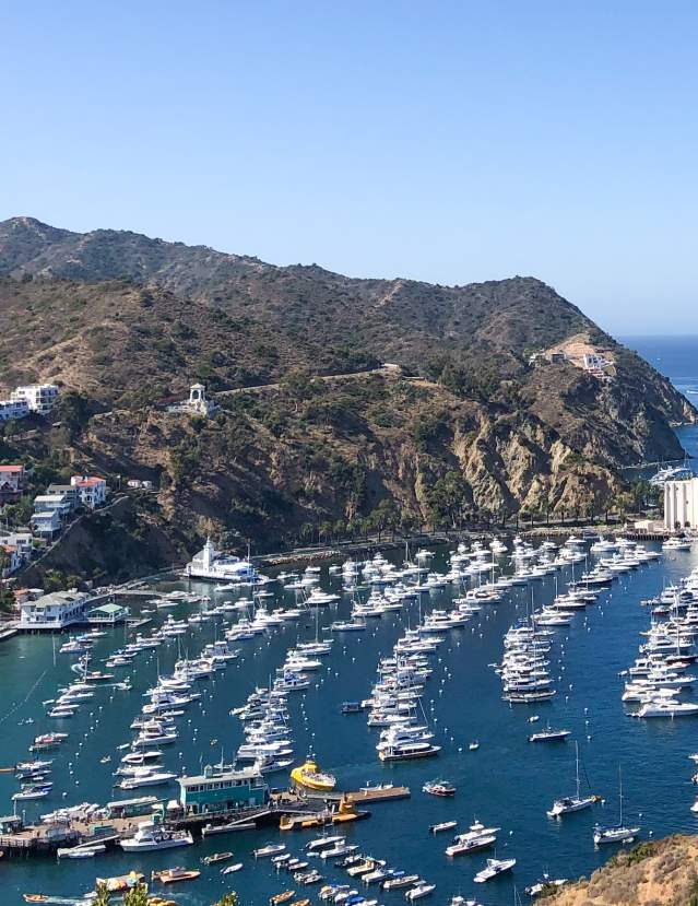 Avalon Aerial View