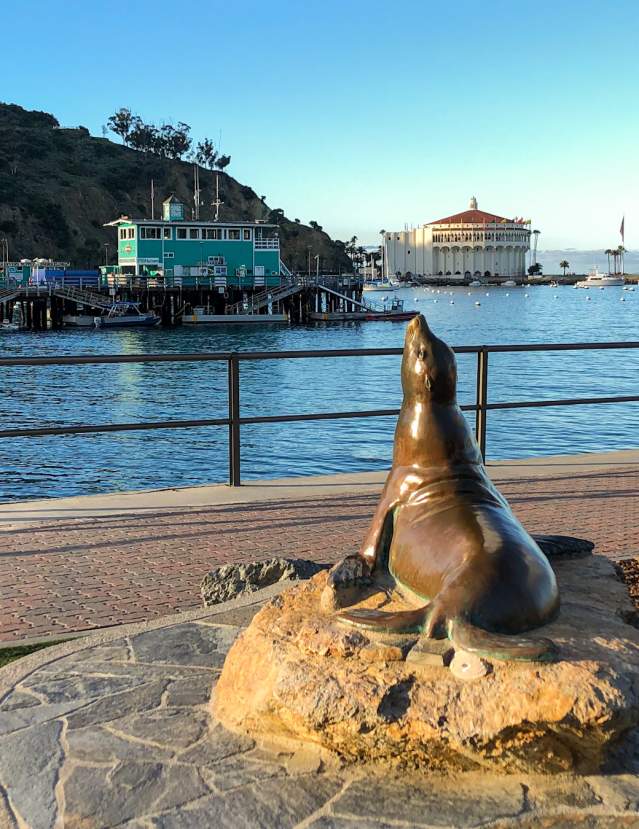 Old Ben Catalina Island