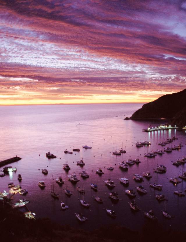 Purple Harbor Sunrise