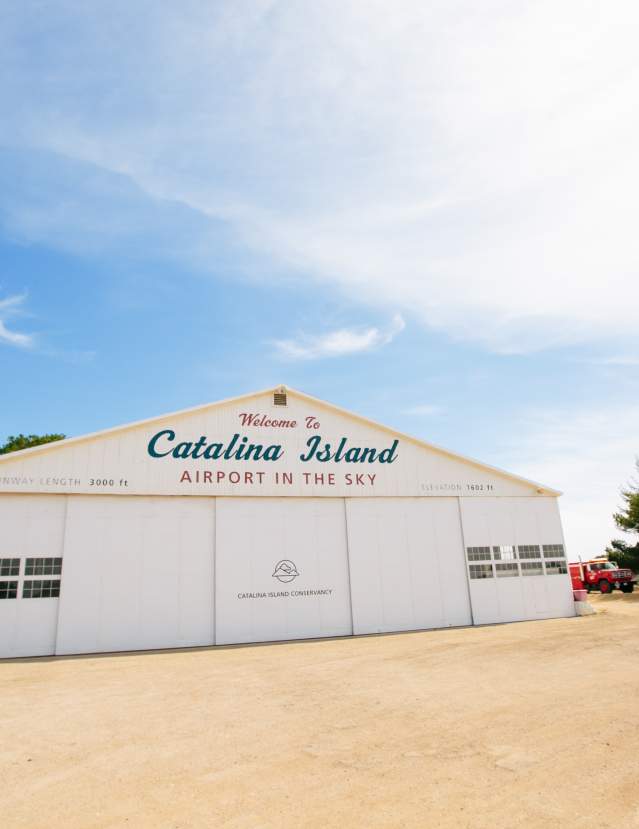Catalina Island Airport in the Sky