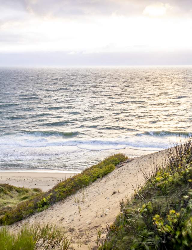 Cape Cod National Seashore