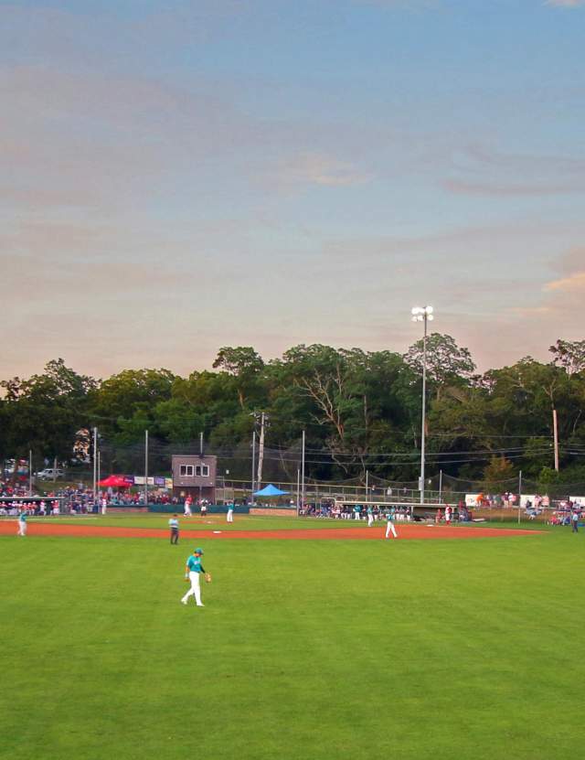 Cape Cod Baseball League