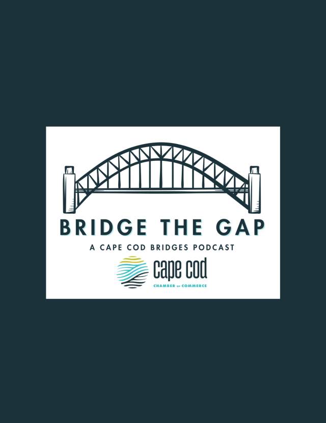 bridge the gap
