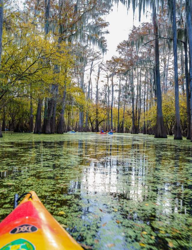 View of Lake Bistineau from a Red Kayak