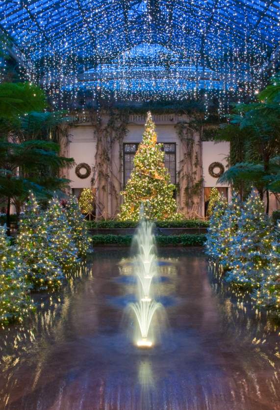 A Gem of a Holiday: A Longwood Christmas Returns This Season