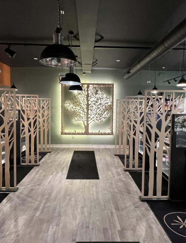 Interior of Apothecary Certified Organic