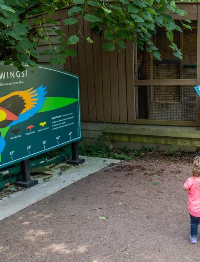 A Photographer Family's Guide to Ann Arbor