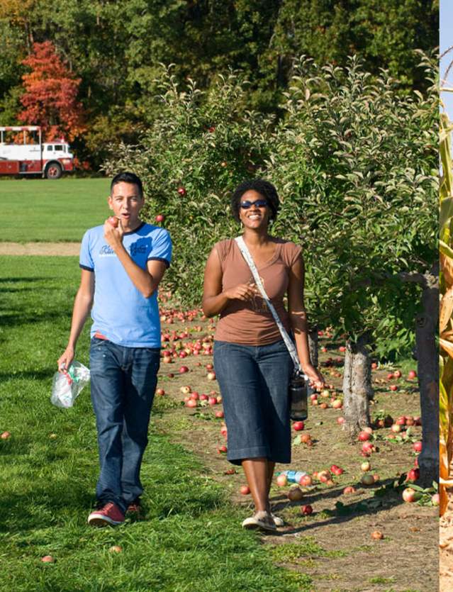 Make A2 Your Fall HQ: Autumn in the Ann Arbor Area