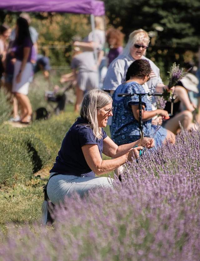 Everything to Know About Milan's Lavender Harvest Festival