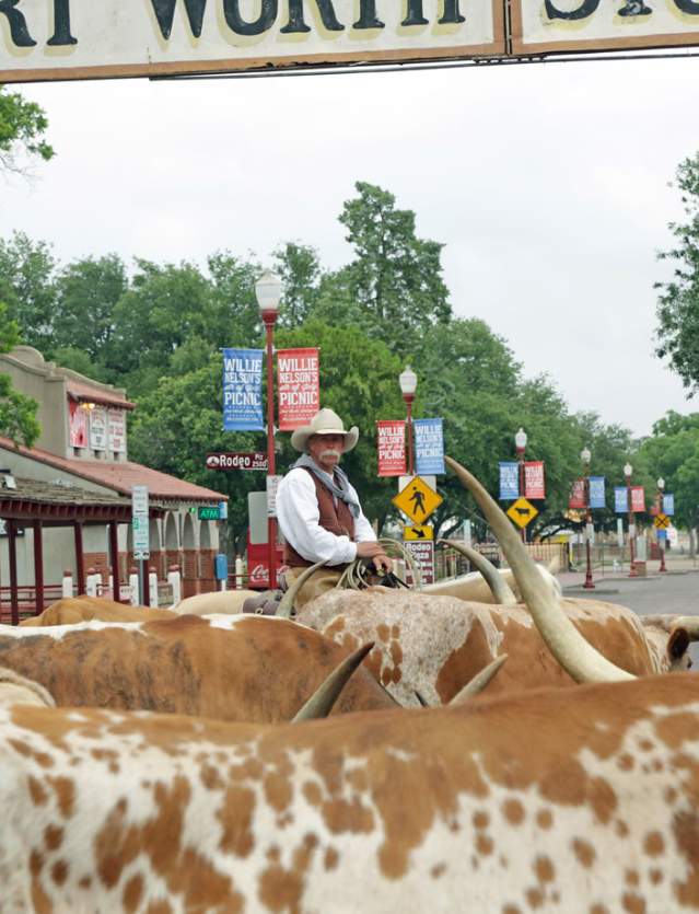 Stockyards sign Longhorns v5