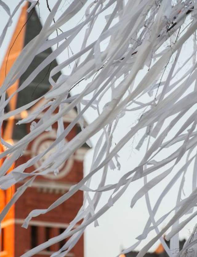 Nostalgic Auburn