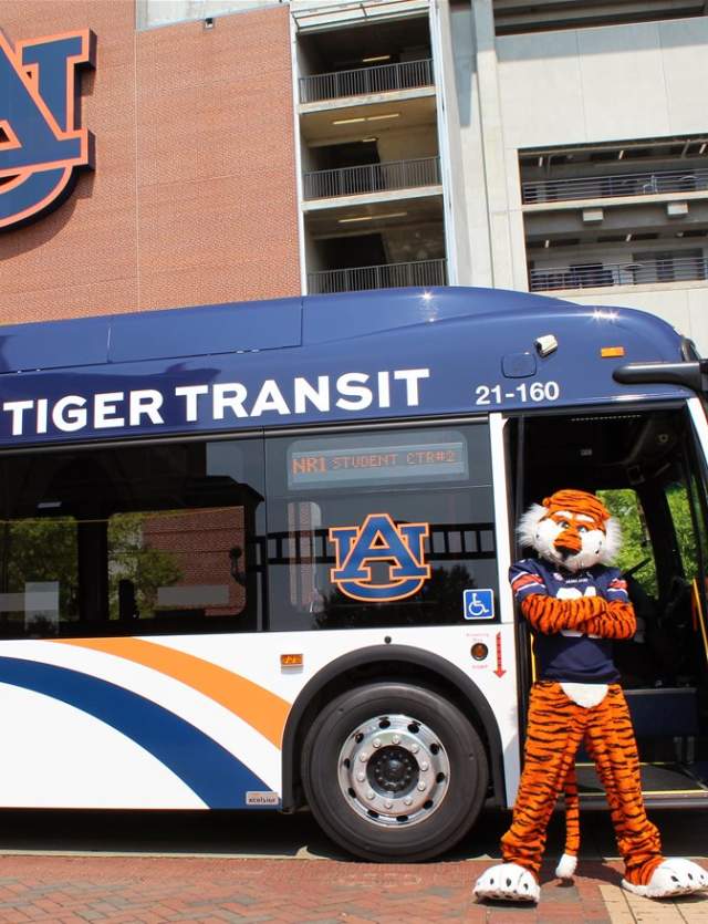 Tiger Transit Shuttles