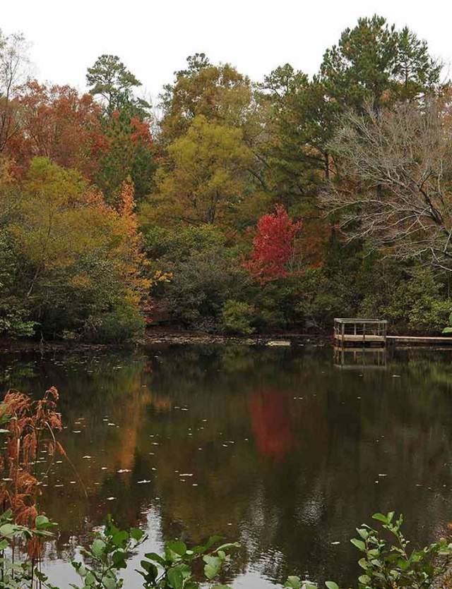 Kreher Preserve & Nature Center