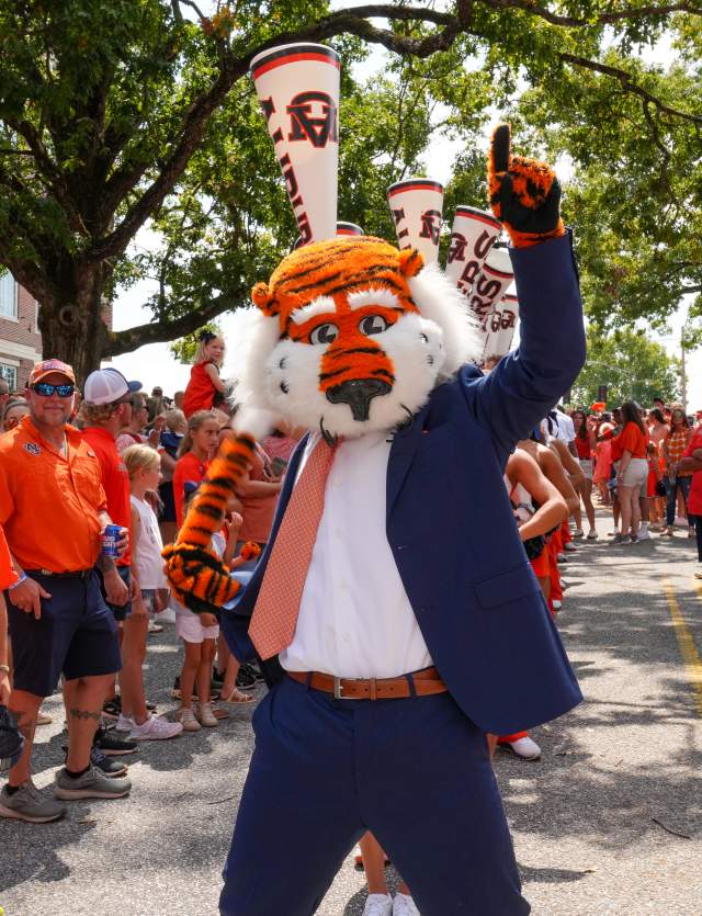 Tiger Walk