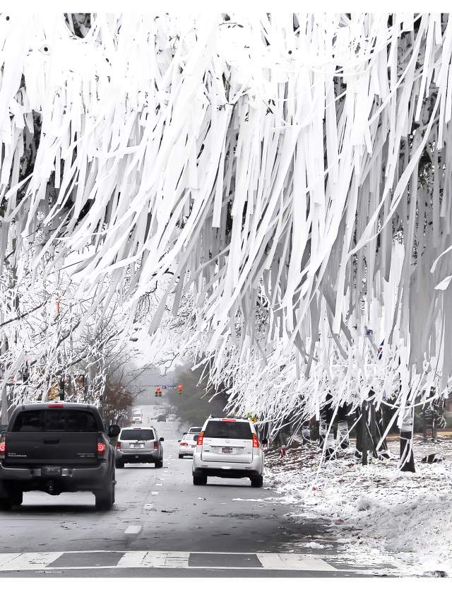 Toomers Toilet Paper Snow