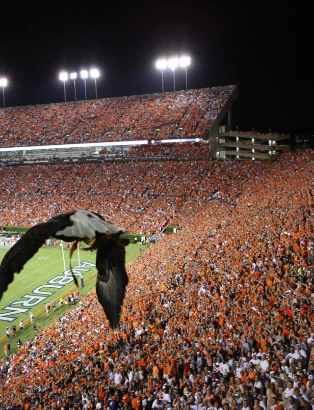 War Eagle