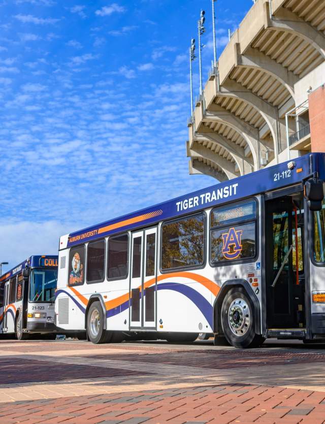 tiger transit busses in front of stadium