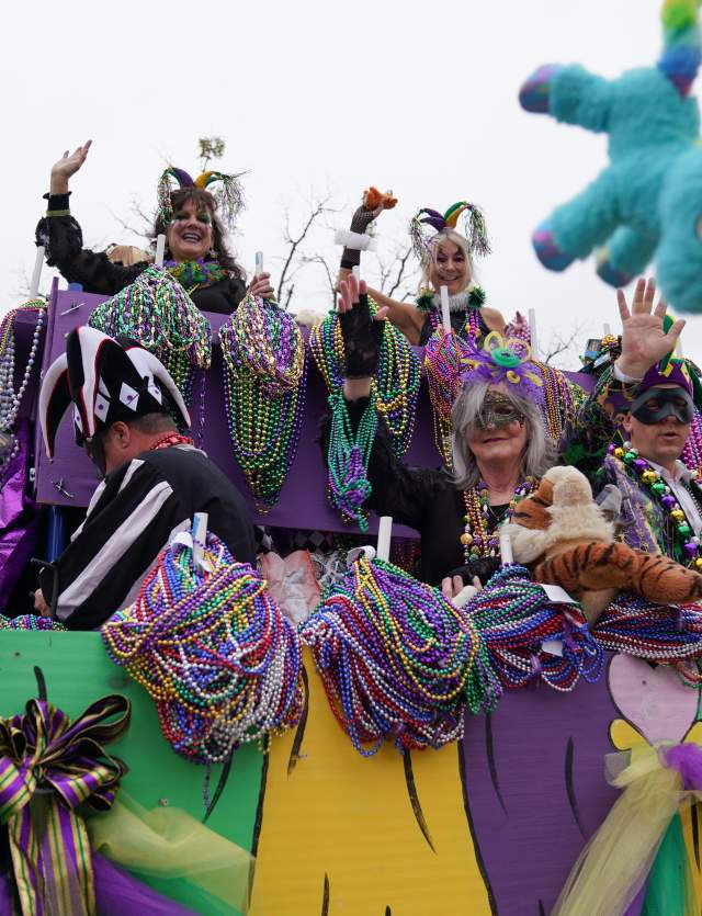 mardi gras marching krewes