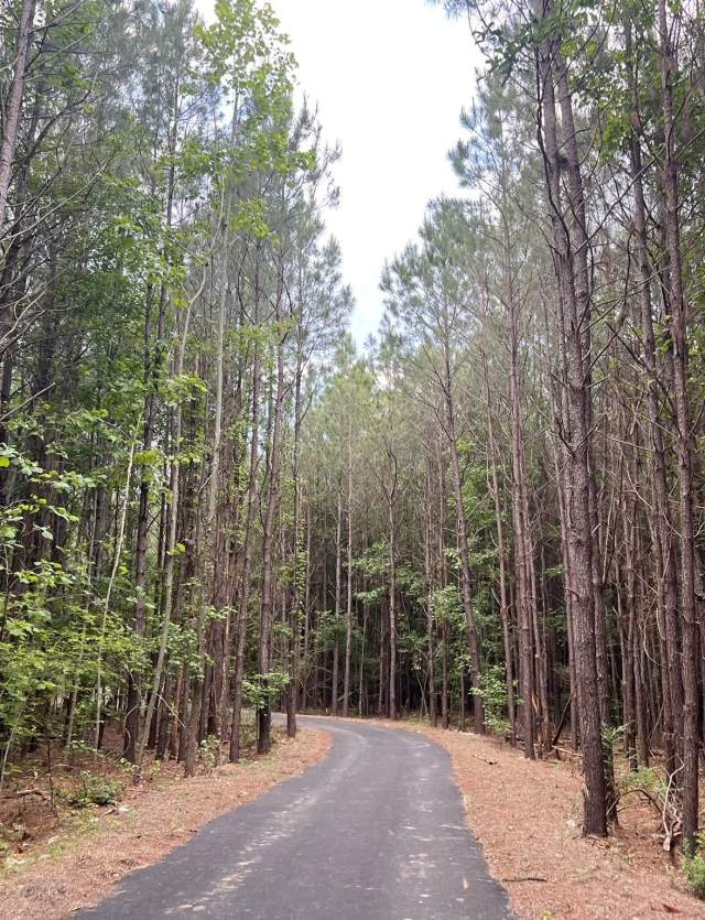Waverly branch Pepperell trail
