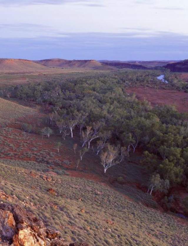 Carawine Gorge