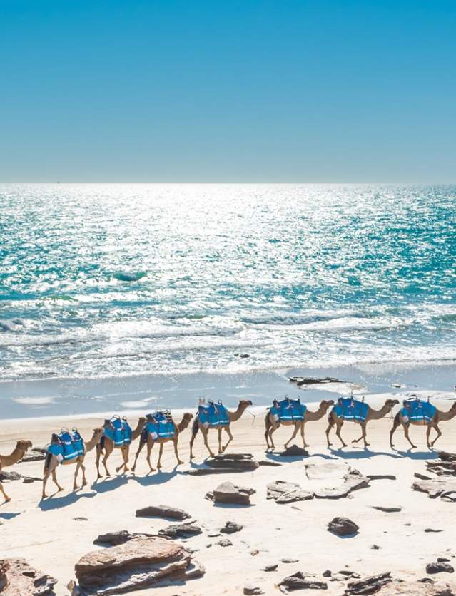 Afternoon Camel Train on Cable Beach with the Indian Ocean in the background