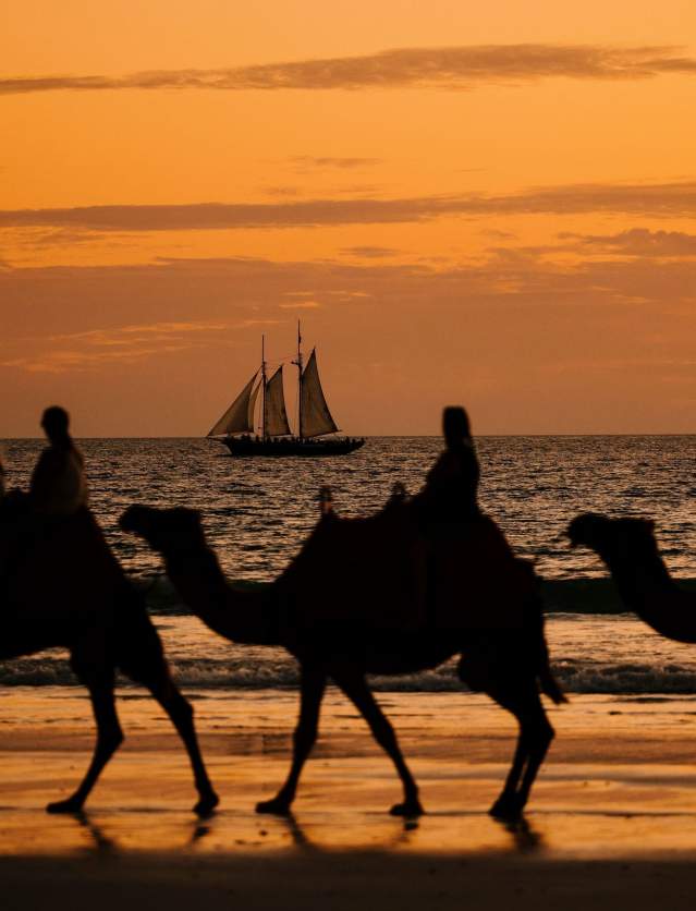 Camels silhouetted by the sunset on Cable Beach, Broome.