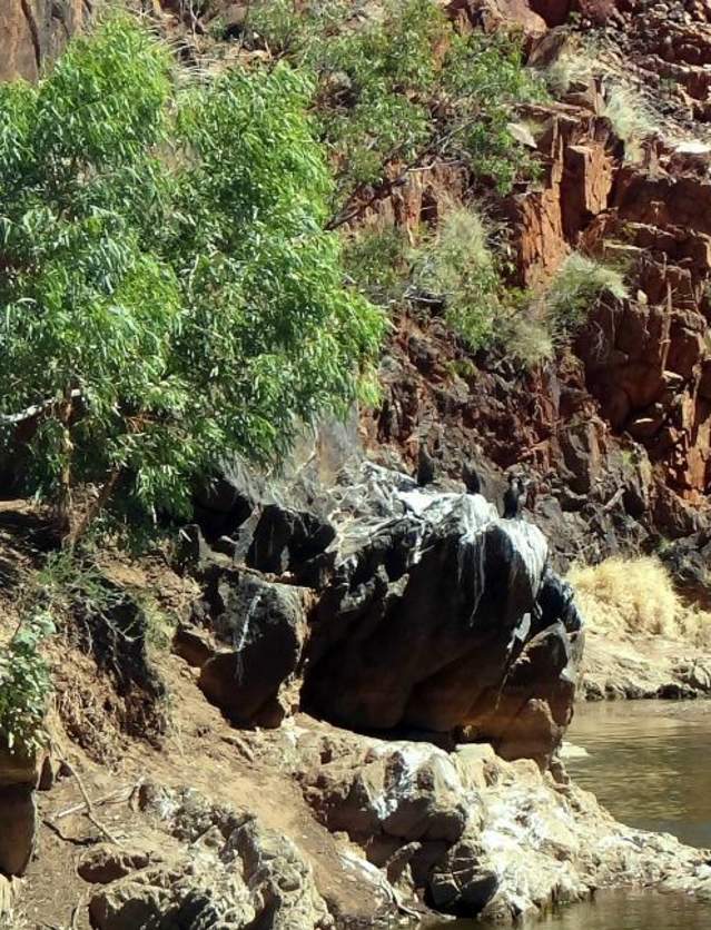 Shire of Halls Creek Caroline-Pool