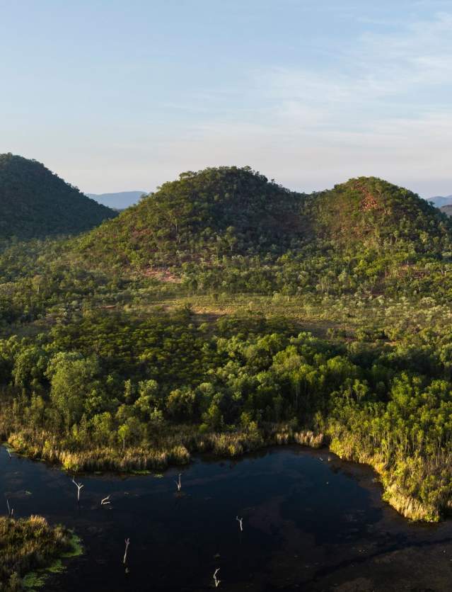 A view of one of Kununurra's waterways, with hills rising in the background and lush green trees and grasses.