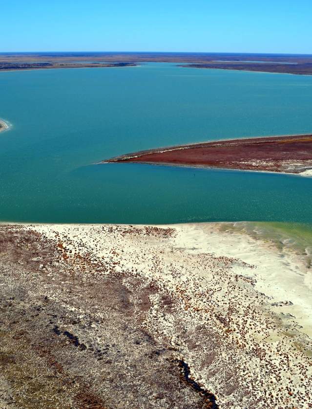 A view of Paruku (Lake Gregory) on the northern edge of the Tanami and Great Sandy deserts.