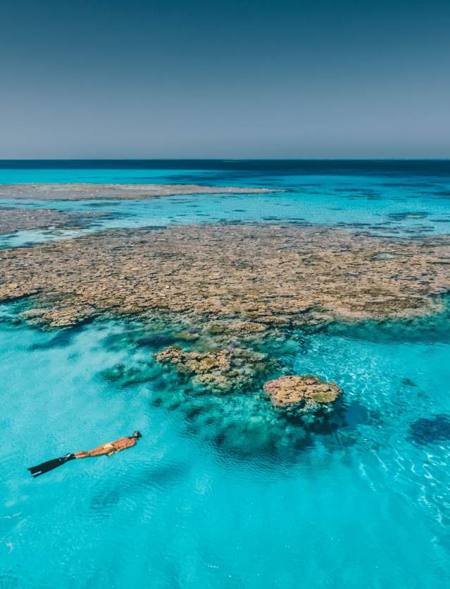 A snorkeller in crystal clear waters alongside a reef at Rowley Shoals