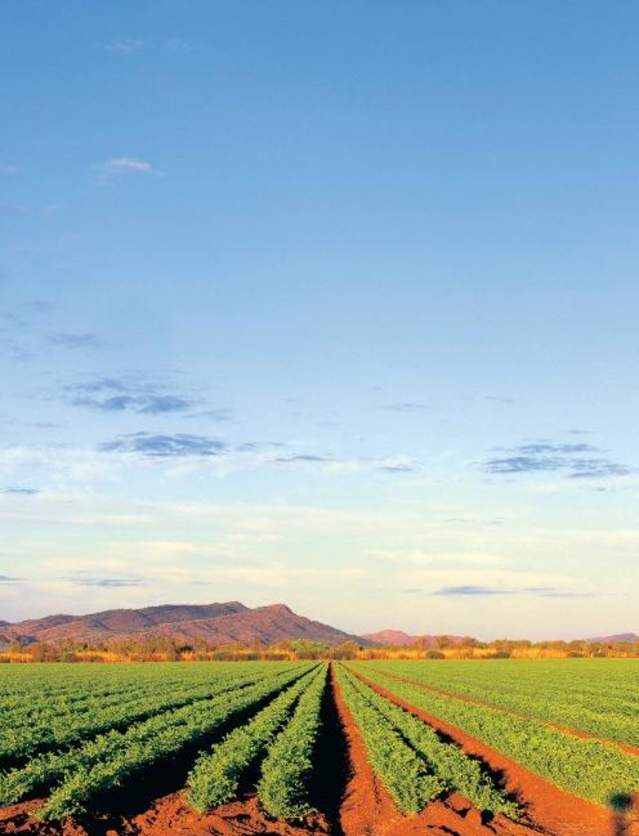 Ord River Irrigation Area