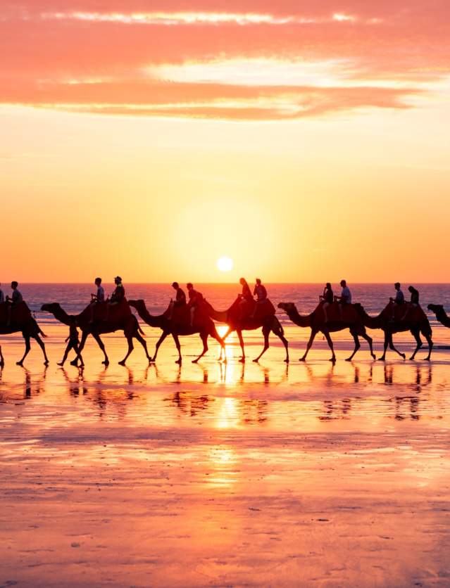 Cable Beach Camels - CJ Maddock