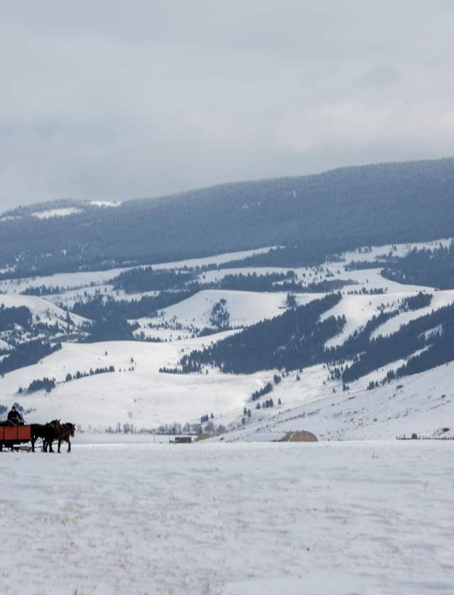 10 Unforgettable Winter Wyoming Adventures