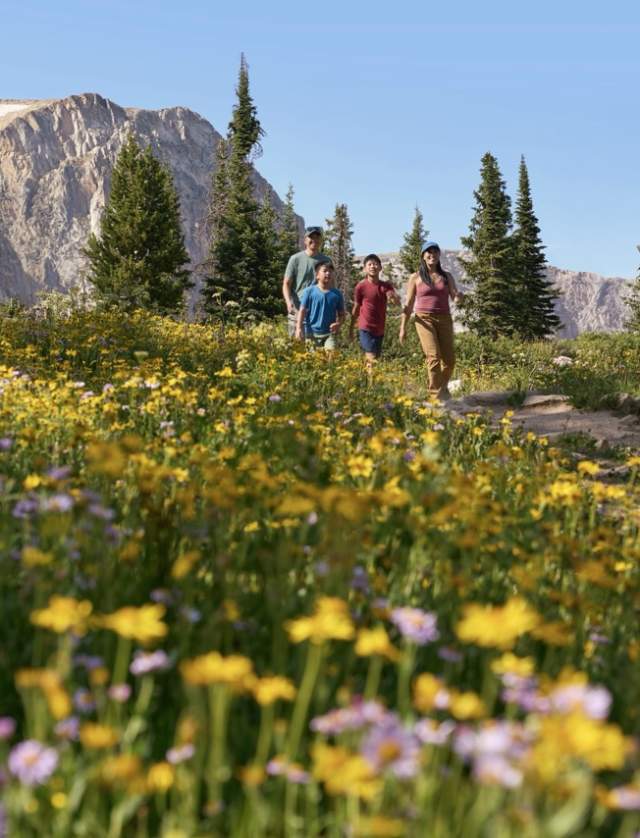 family of four walking along a path lined with flowers, forest and mountainside