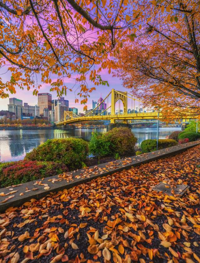 Fall leaves on a walking path with a yellow bridge and river in the background