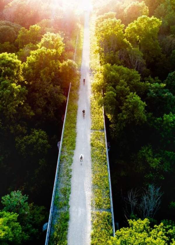 bicycles on a bridge