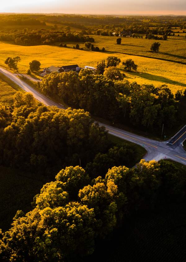 rural road with sun shining