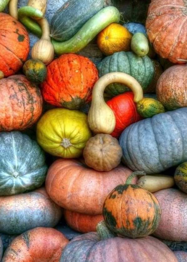 Oh my gourd! You'll love this pumpkin fun