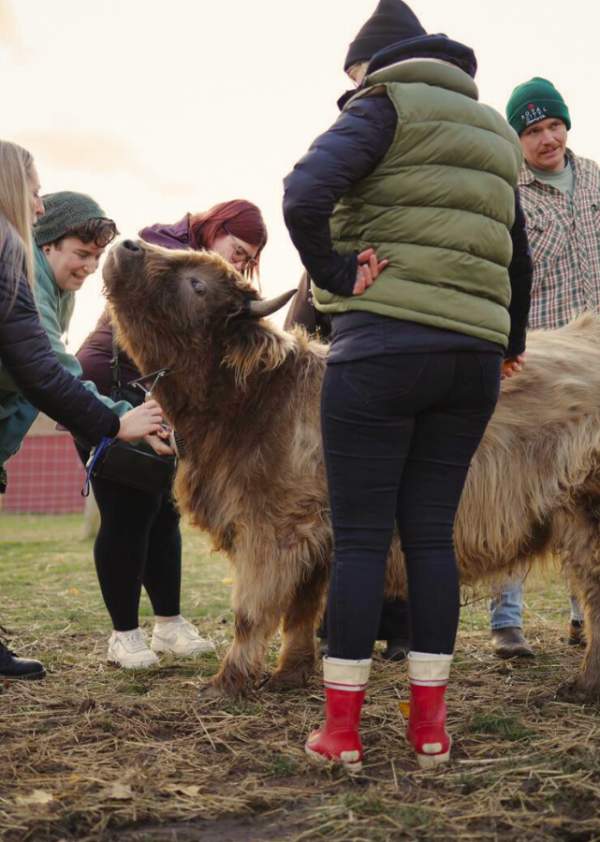 Udderly Ridiculous Farm Life