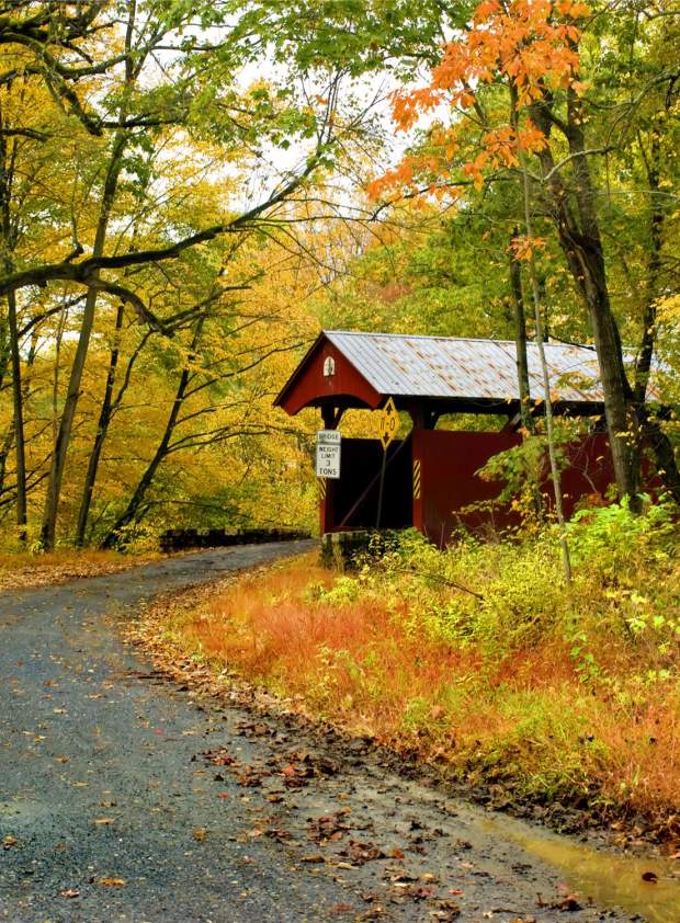 fall bridge