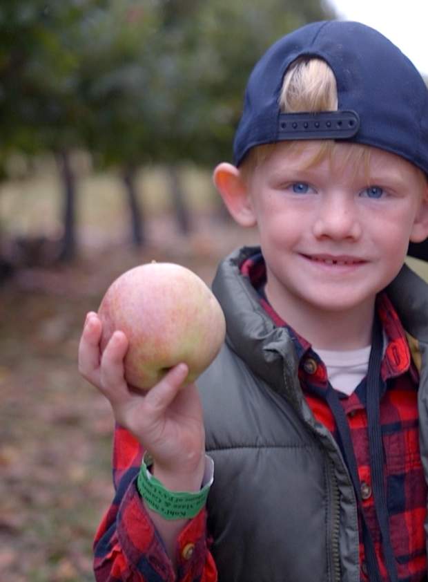 Green's Fruit Farm