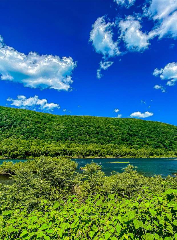 water trees clouds river