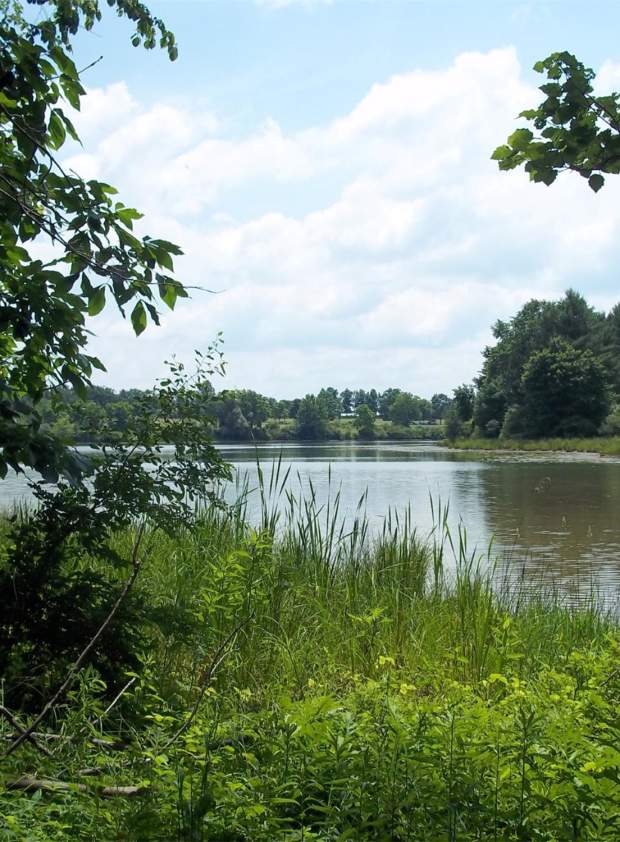 Lake Chillisquaque Montour Preserve