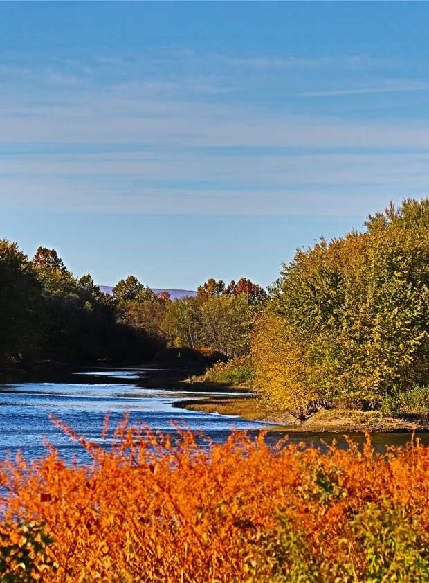 Milton River View