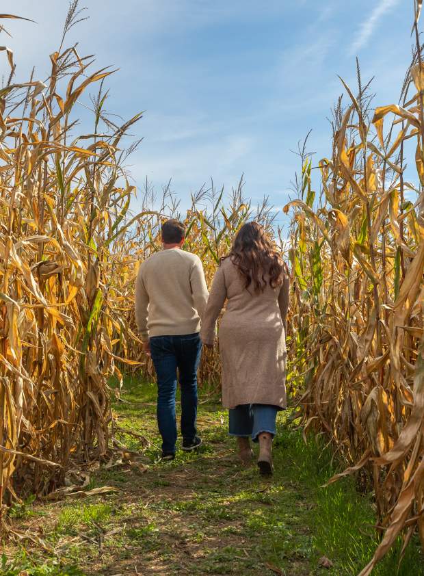 Corn Maze at Northhill