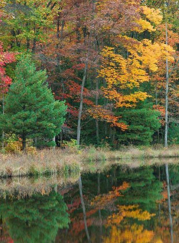 fall, water