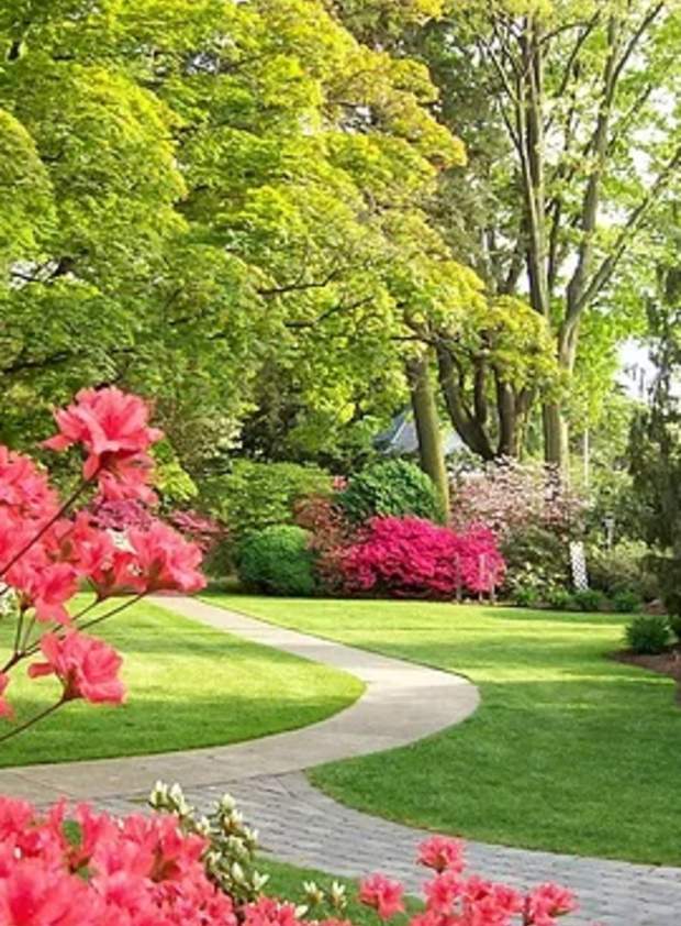 keithan bluebird garden path