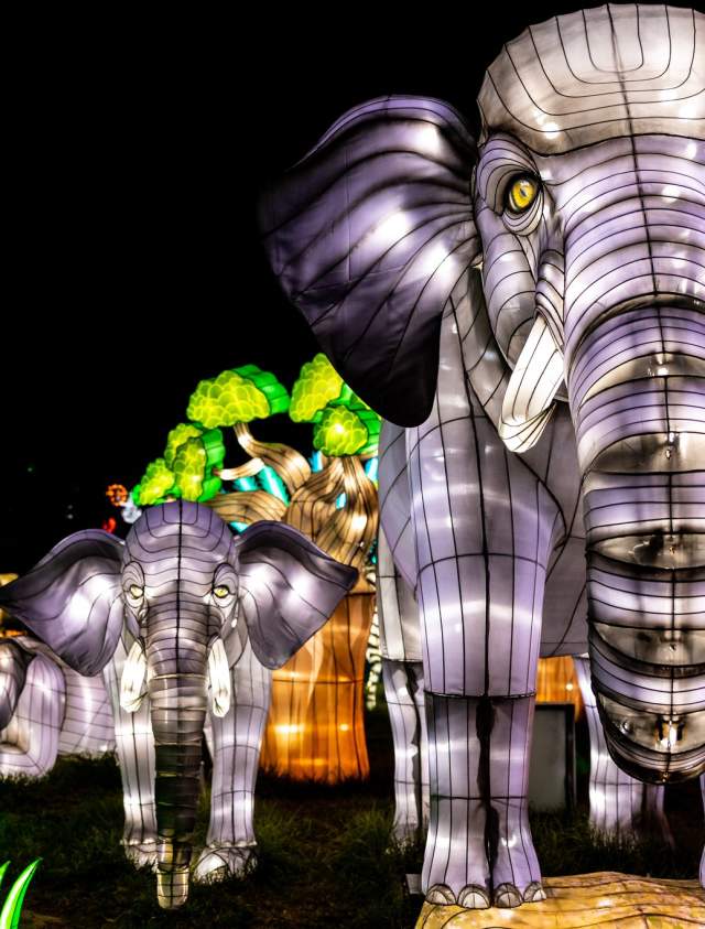 Zoolightful Holiday Event